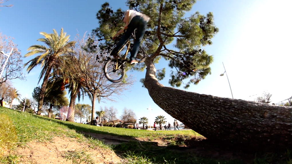 Julien Arnaud nutzt das Kaiserwetter und fährt im T-Shirt und unter Palmen gleichermaßen Trails, Street und Park. Man könnte glatt neidisch werden …