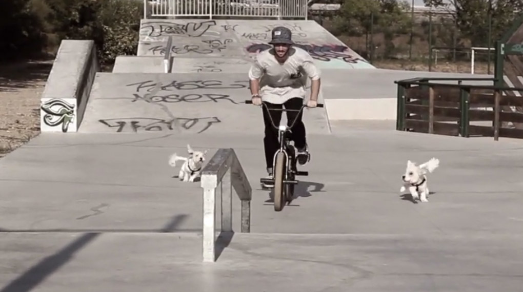 Anthony Perrin und der Rest des Teams von BMX Avenue grinden sich in diesem Mixtape einmal kreuz und quer durch die Skateparklanschaft von Südfrankreich.