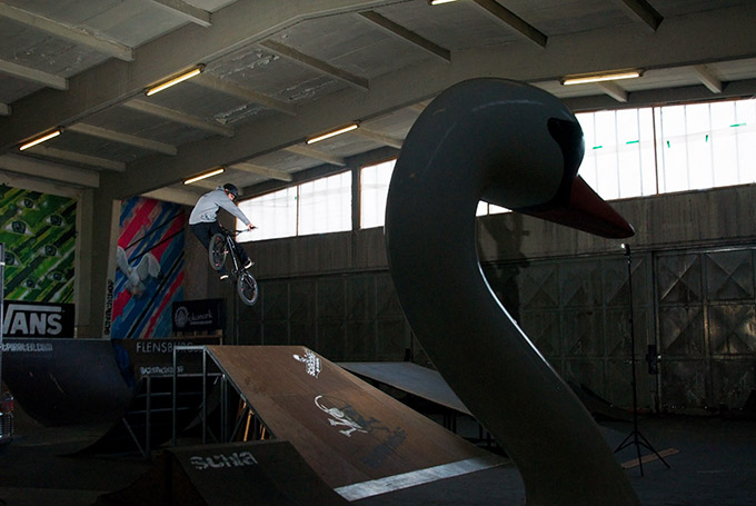 Daniel Kiss unter dem wachsamen Auge des Hallenschwans