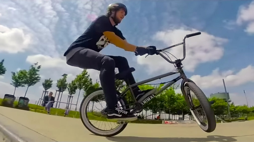 Christopher Sturm hat seine neuen Klamotten von Freefly Clothing während einer Session im Skatepark Duisburg vollgeschwitzt. Hier ist sein Welcome-Edit.