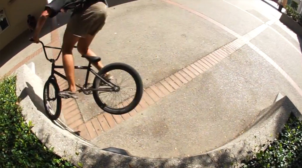 Die Section von Trey Jones aus dem ‘Cultivate Vol. 1