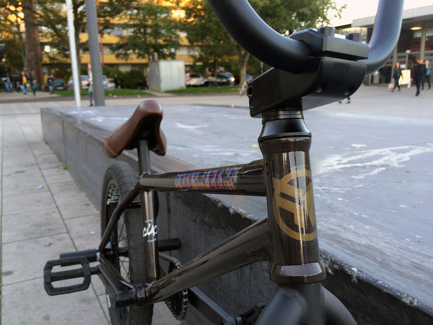 Carlo Hoffmann fährt den Federal-Signaturerahmen seines Bruders Bruno im schicken clear black