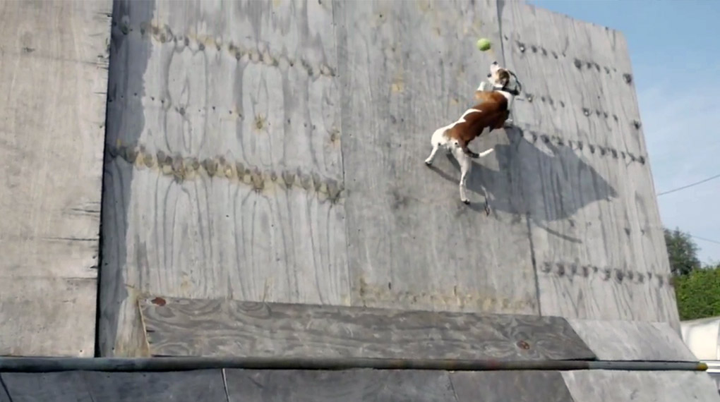 Für die fünfte Folge der Federal Bikes Split Series haben sich Mark Love und James Cunningham gemeinsam Spots zwischen Kent und Sussex zur Brust genommen.