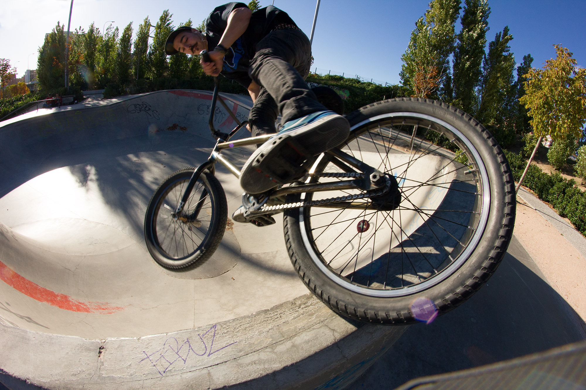 Chase de Mataro Lezgapi by Jamie Cameron