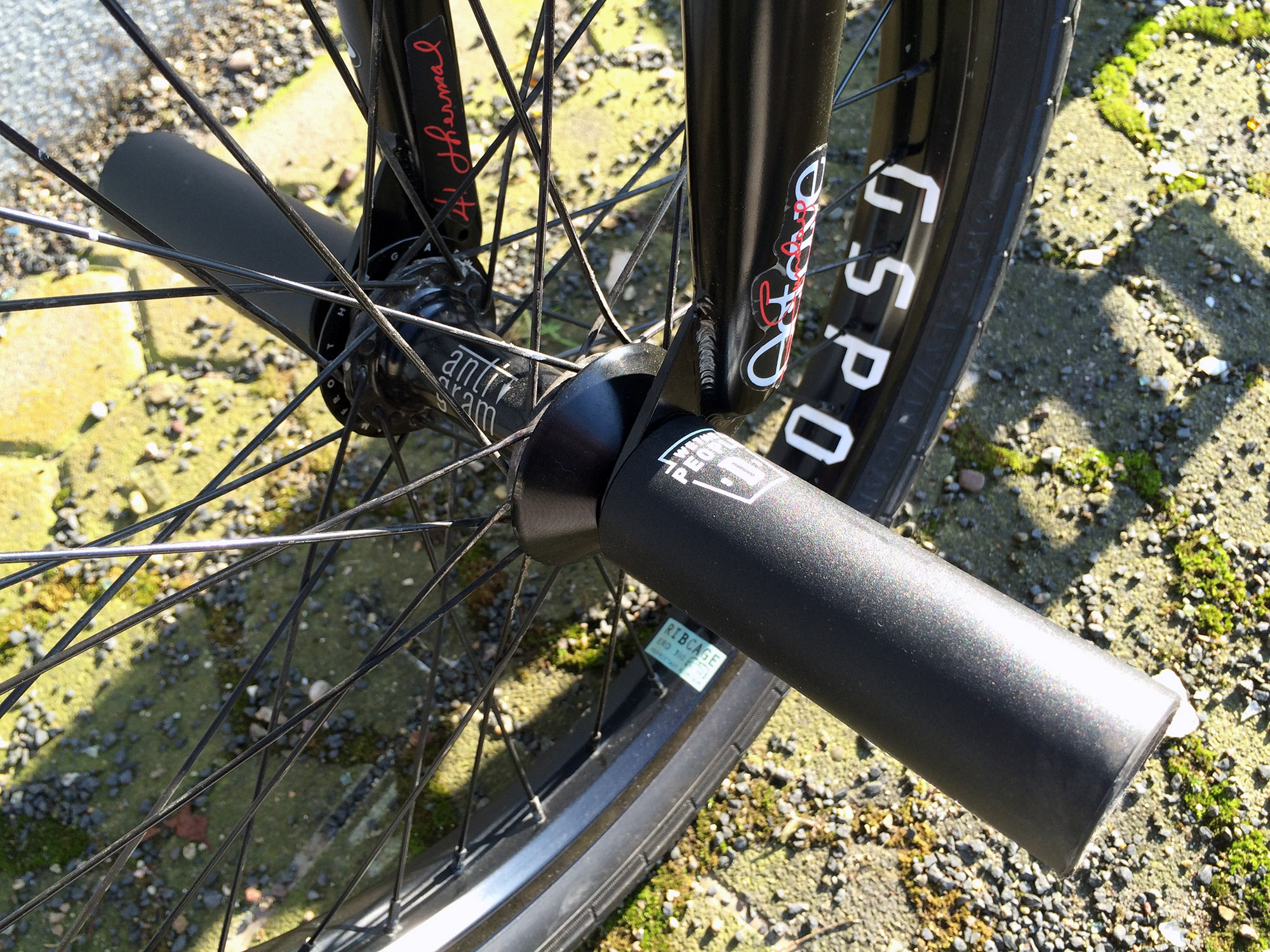 Die Antigram-Nabe von Odyssey verträgt sich mit den Dill-Pickle-Pegs von wethepeople bestens