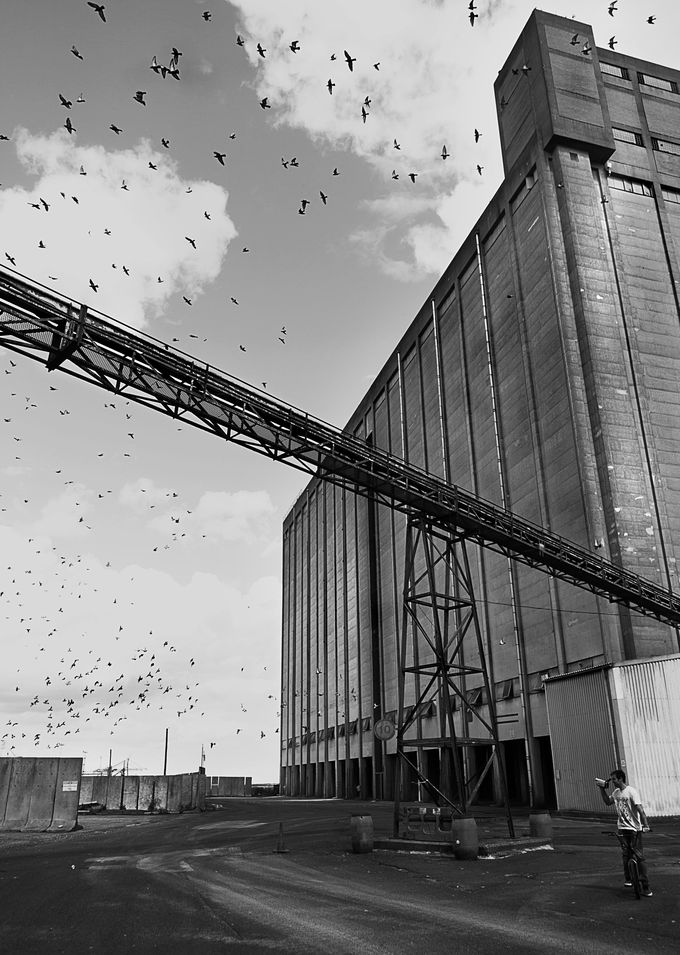Peter bei der Arbeit; Foto: John Wells