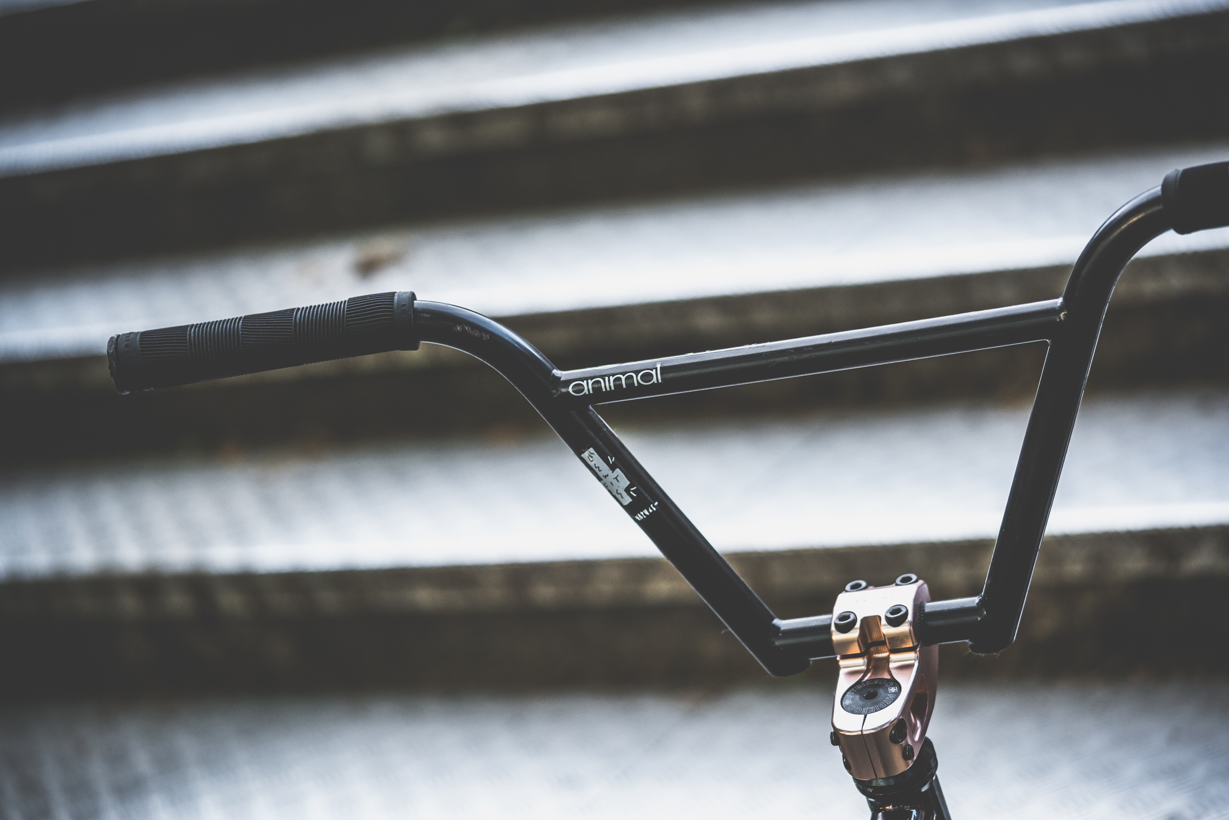 Benny L Lenker von Fitbikeco