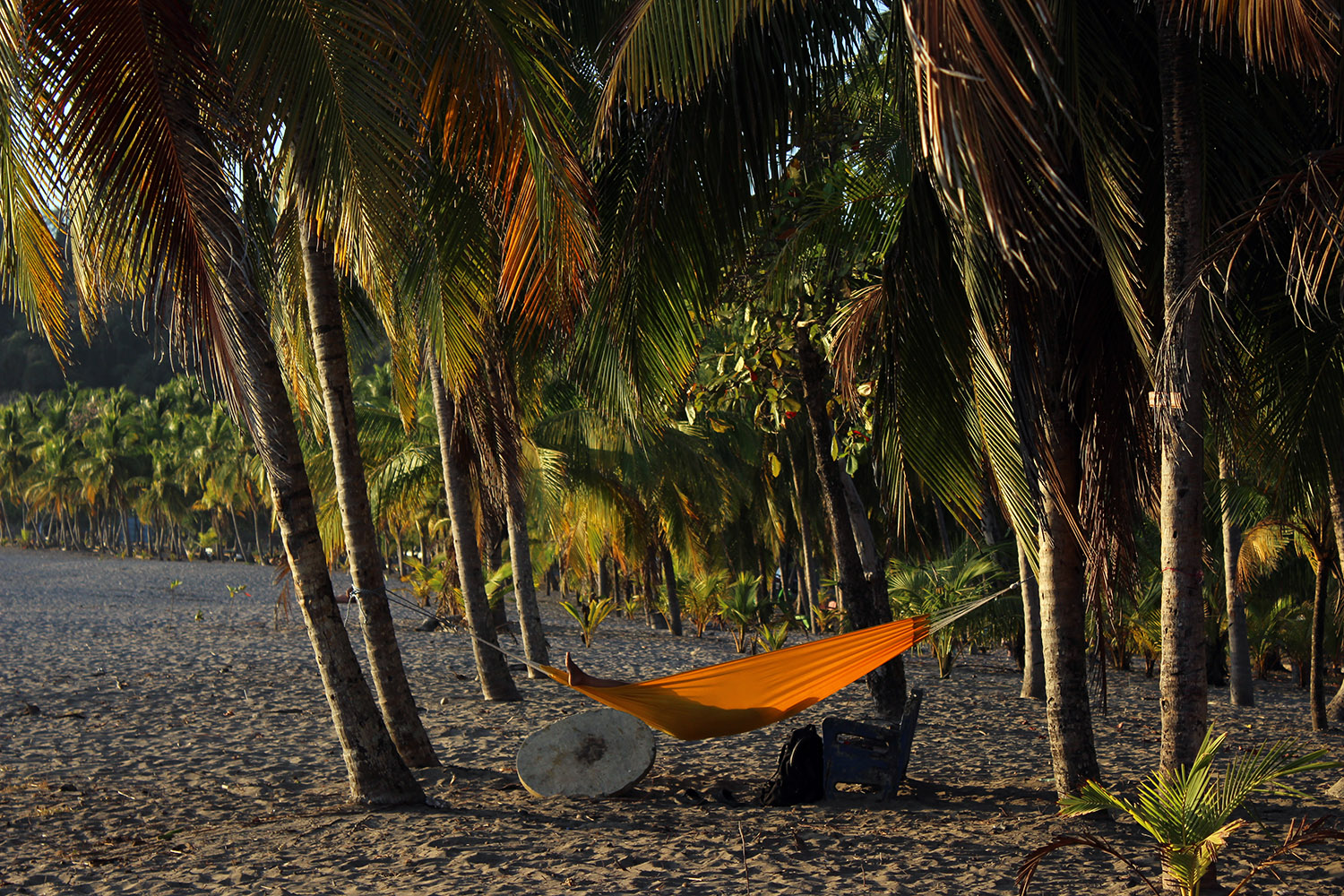 Playa Carillo: Dat Hängemattenlife