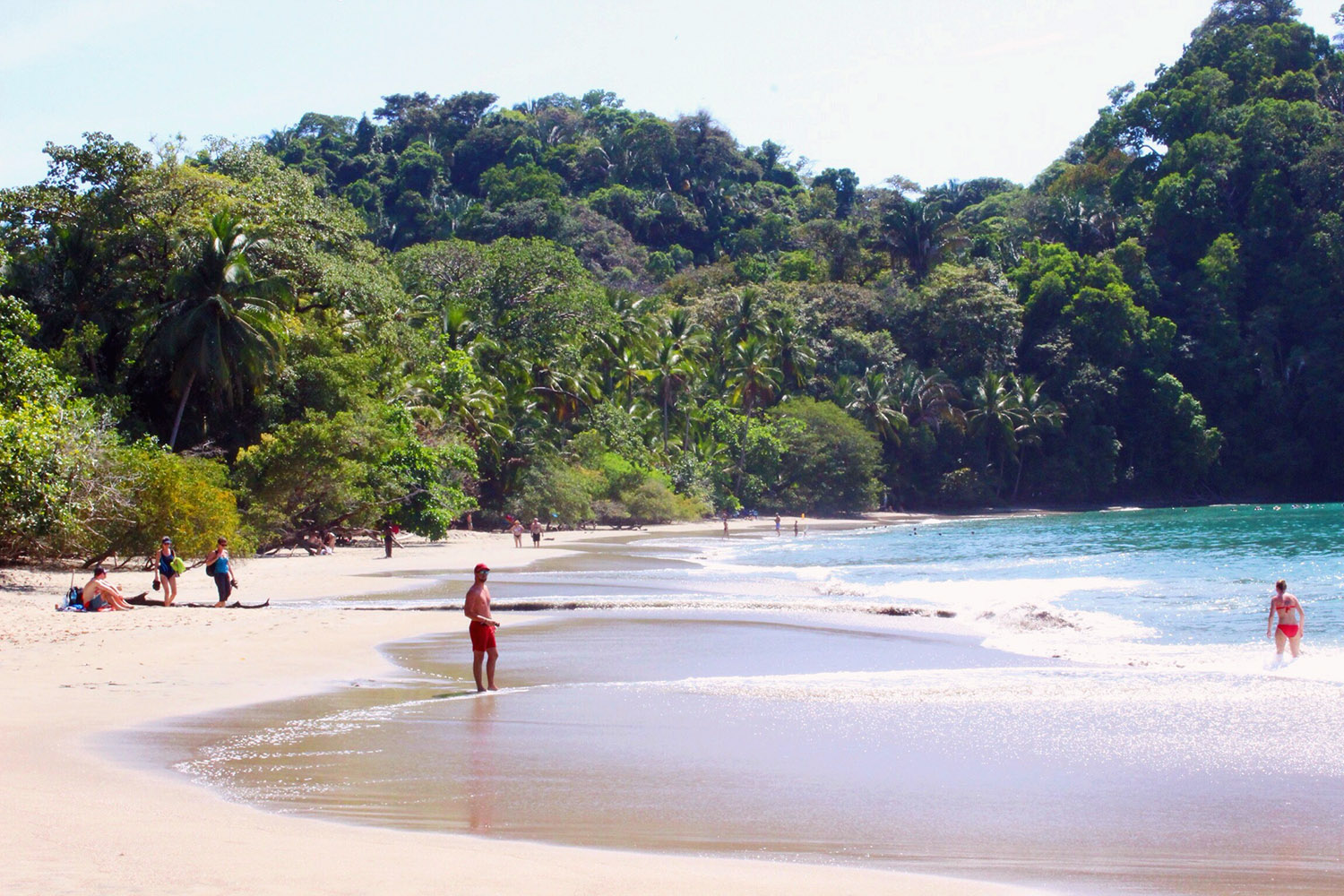 Beach life ain’t easy