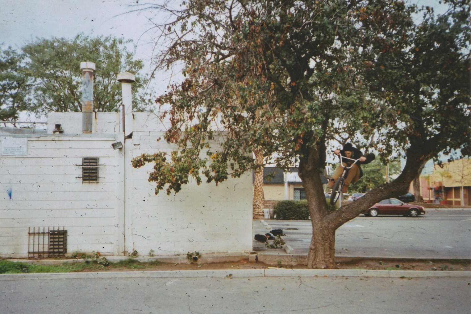 Definitiv mein Lieblingsfoto aus Cali: Bumpjump to Tree Hop von Morgan Long