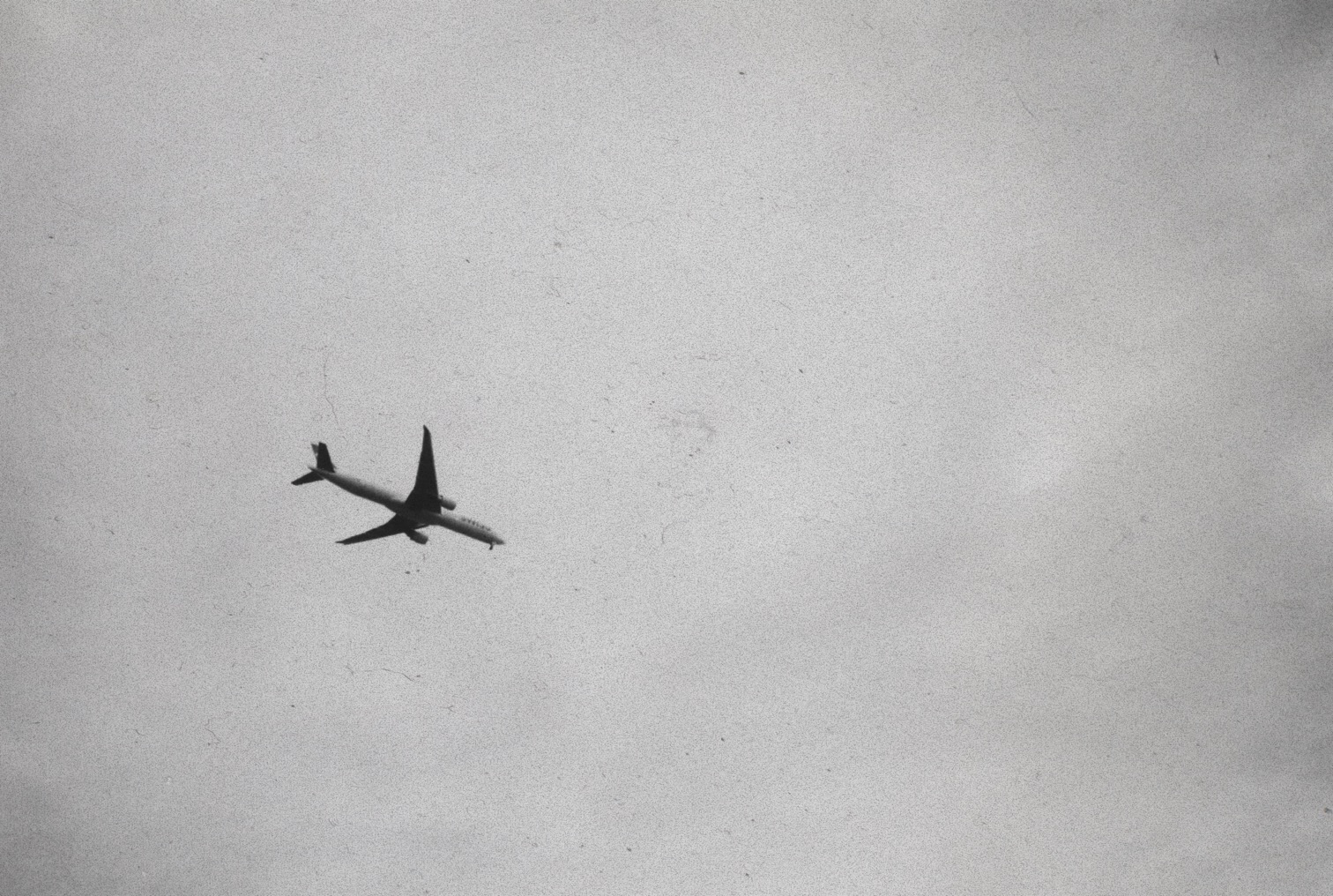 See you later, Cali!