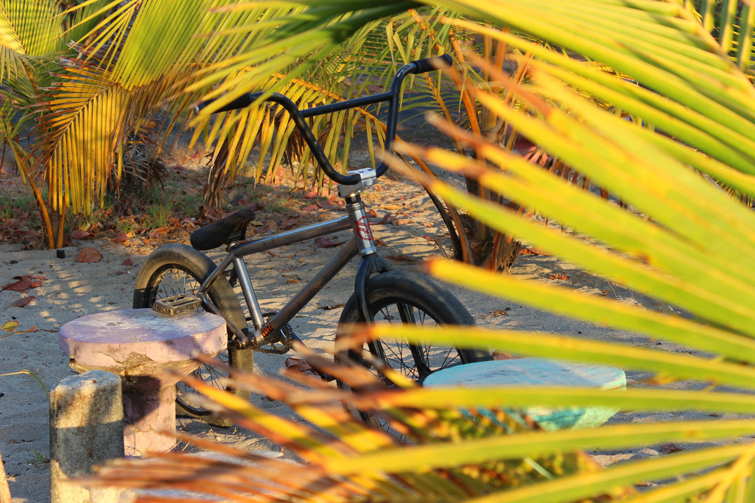 Irgendwann ist Marius