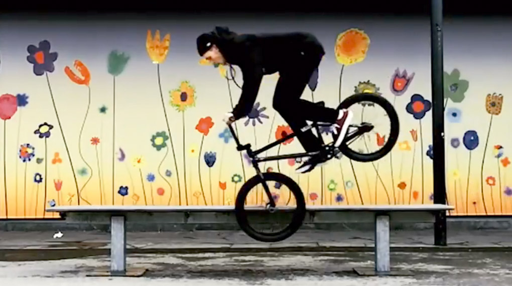 Hier ist eine Compilaton mit einigen der besten Instagam-Clips von Kilian Roth (@kilianroth), die du in den vergangenen zwölf Monaten geliket hast.