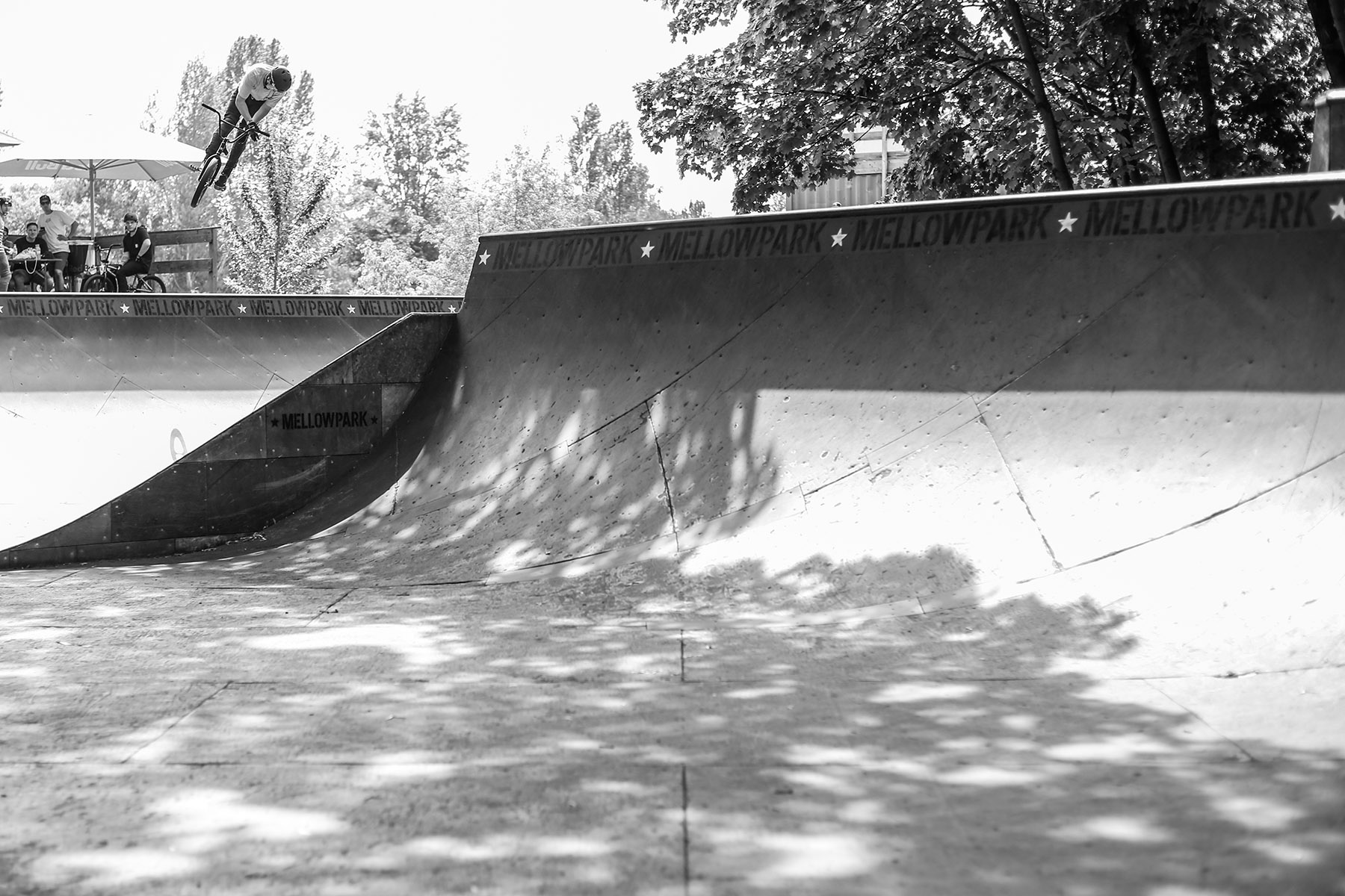 Evan Brandes, Truck to Whip über die Spine von Wickes Woodie