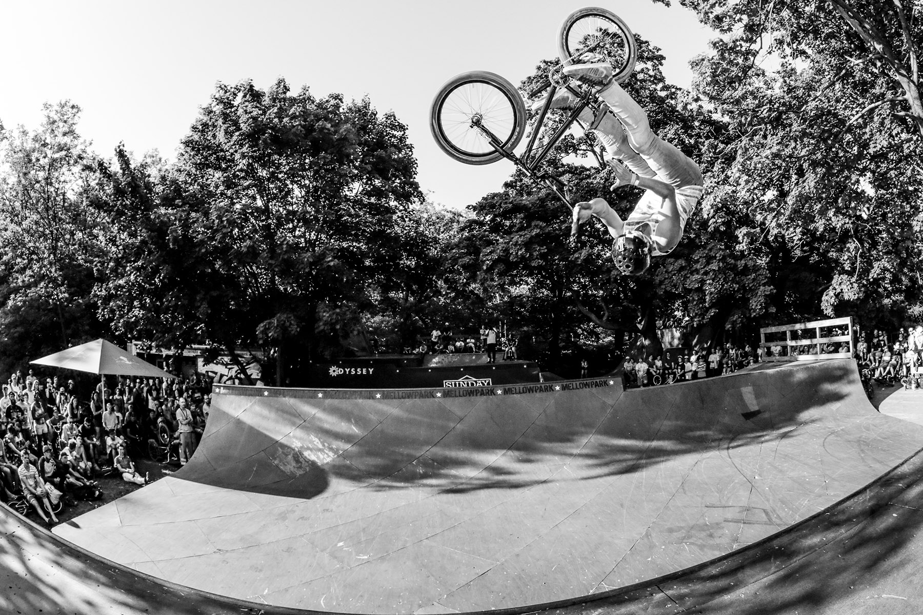Jonas Lindermair, Barspin Flair