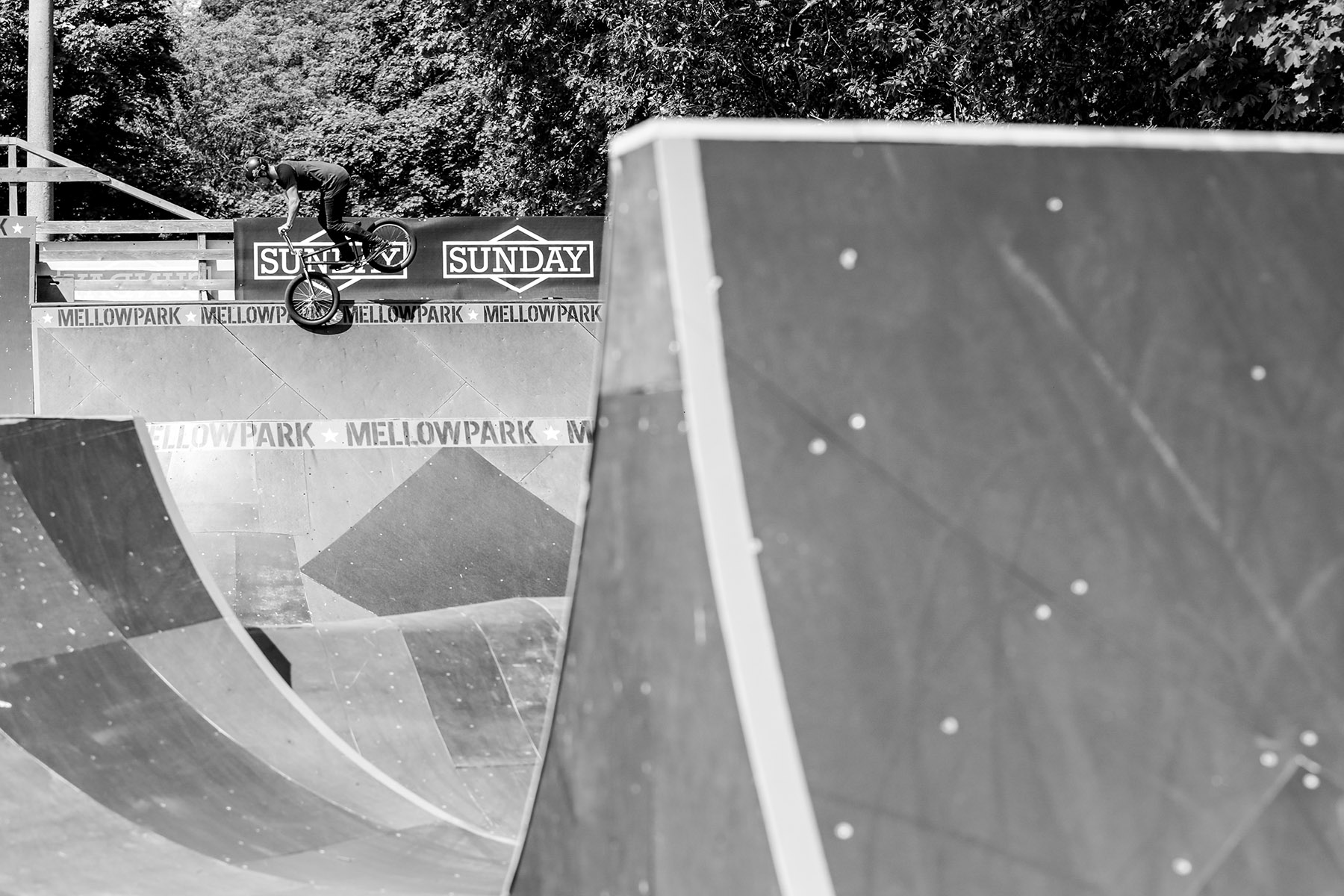 Tobias Freigang, Toothpick