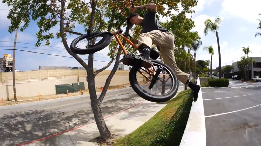 Sean Ricany hat auf dem neuen Colorway seines Signaturerahmens von Cult ein paar Clips eingetütet, die mindestens so fresh sind wie dessen Farbe.