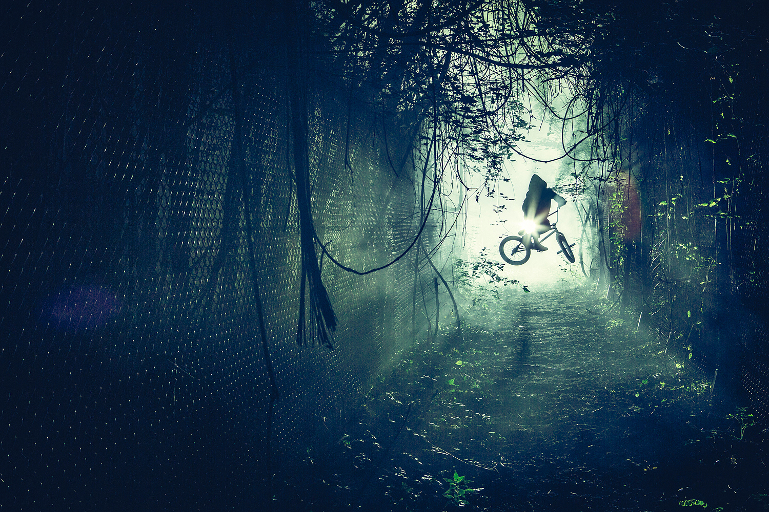 Anthony Perrin Red Bull Devils Voice