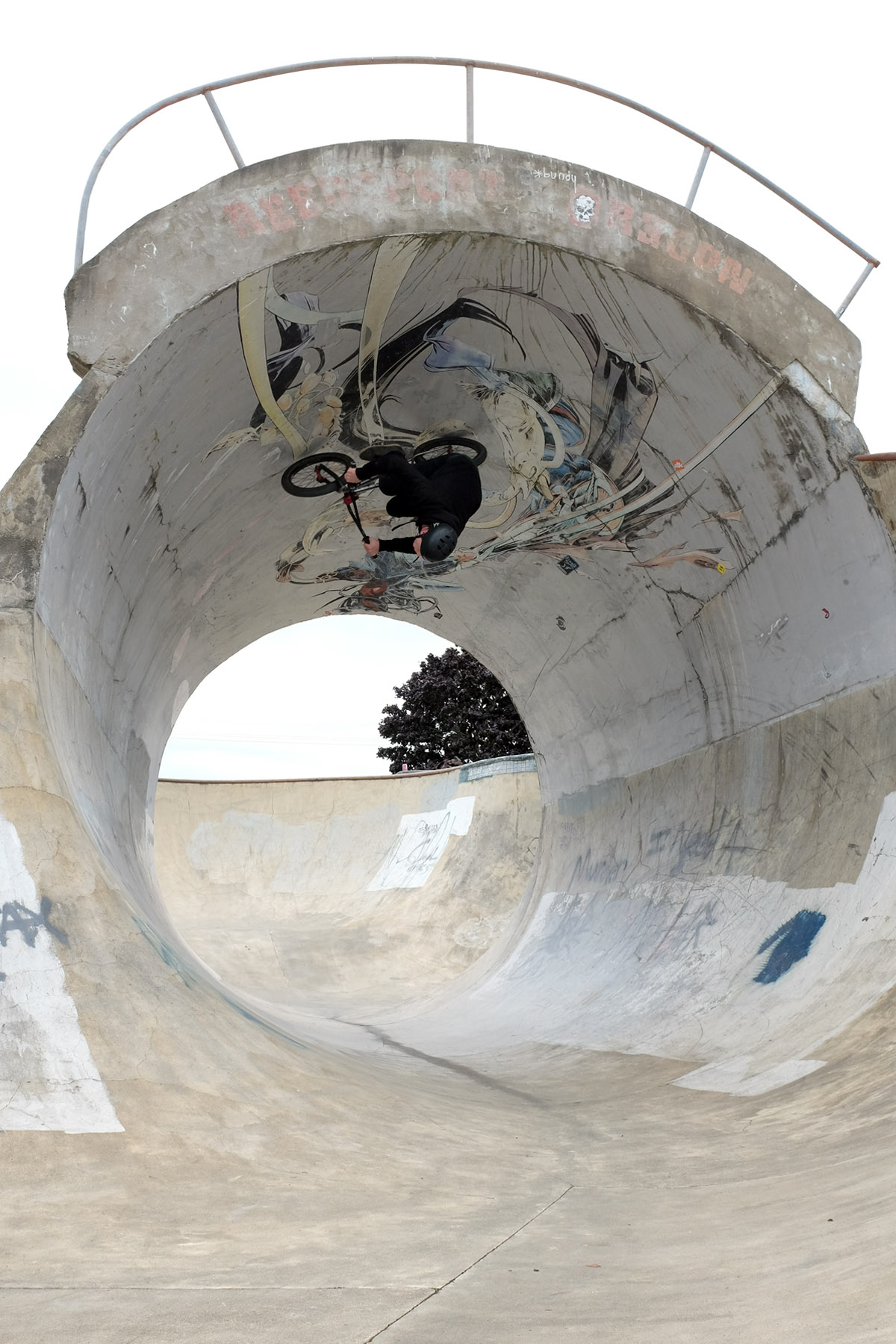 Max Looping – Reedsport, Oregon