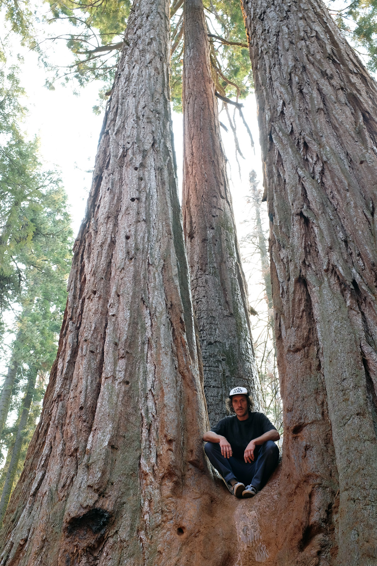 Boogie, Sequoia Nationalpark