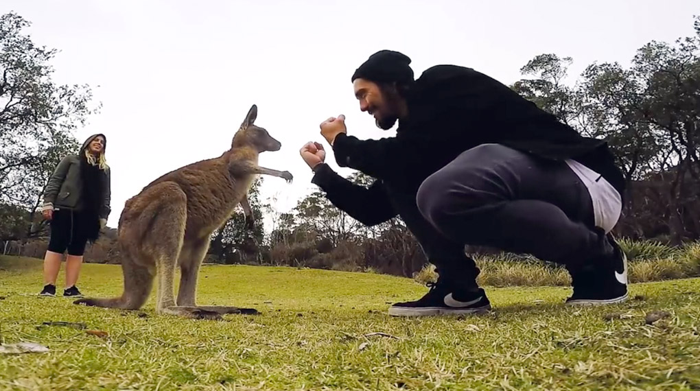 Du wolltest schon immer mal nach Australien? Der kunstform-Teamfahrer Jonas Bader verrät, worauf du bei deinem Trip nach Down Under achten solltest.