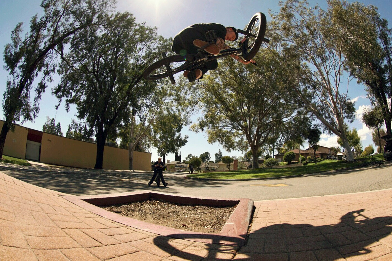 Felix Prangenberg, Table Top