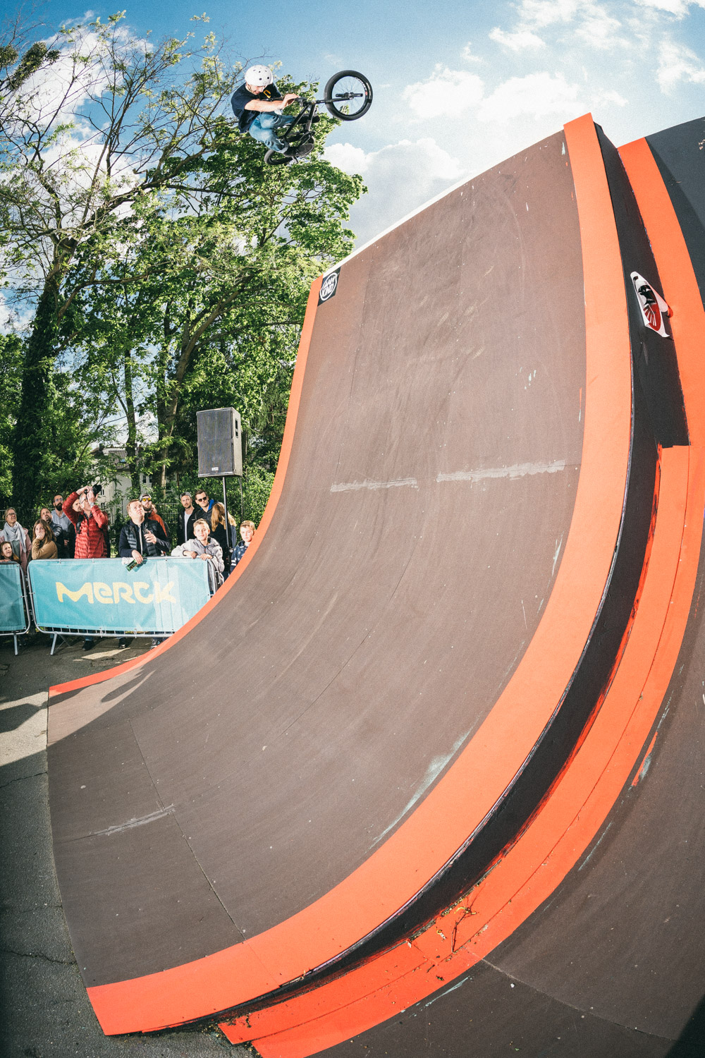 Steeeeeeez von Mihaly, Jan