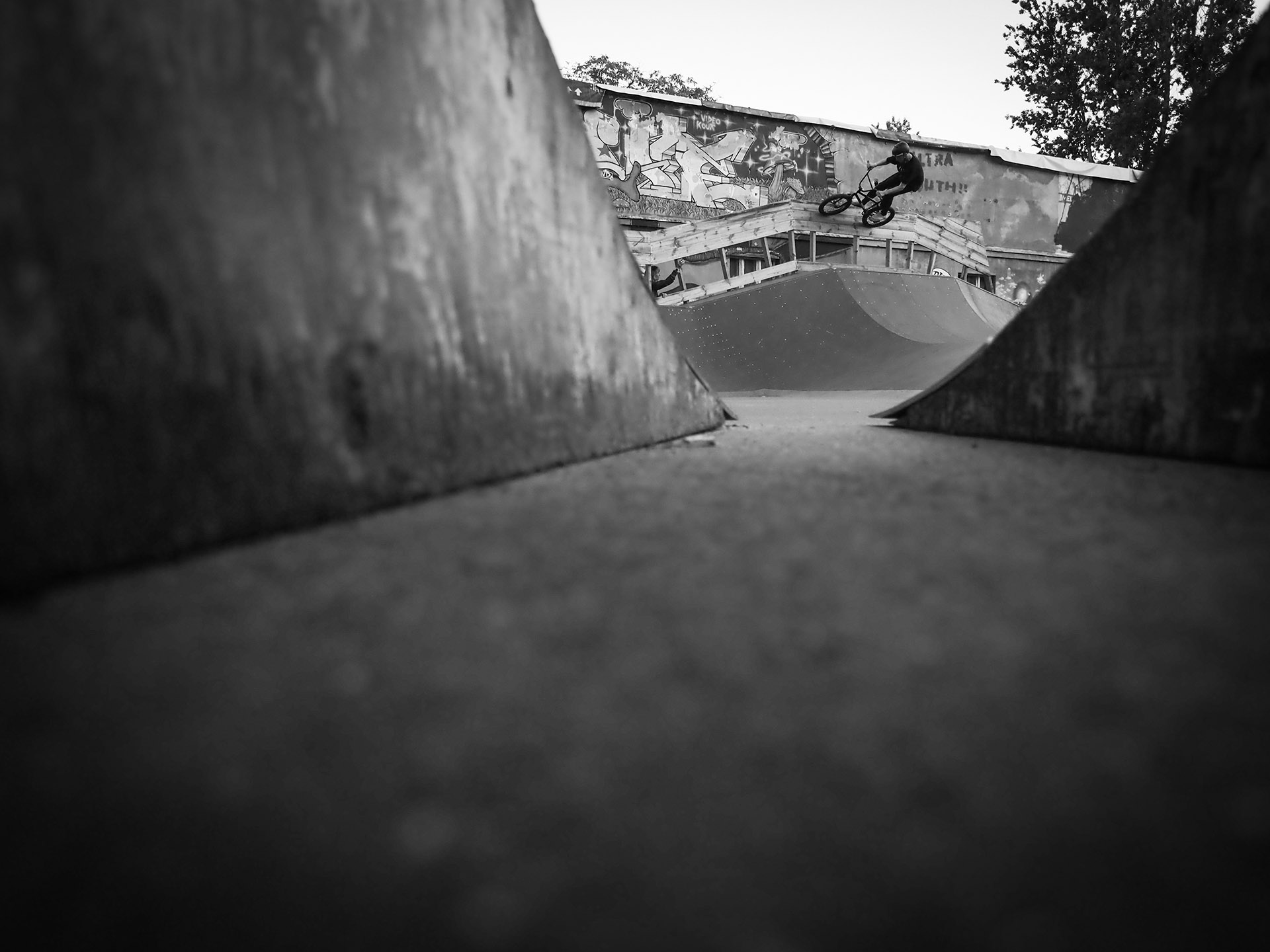 Angelo Kurtz, Wallride