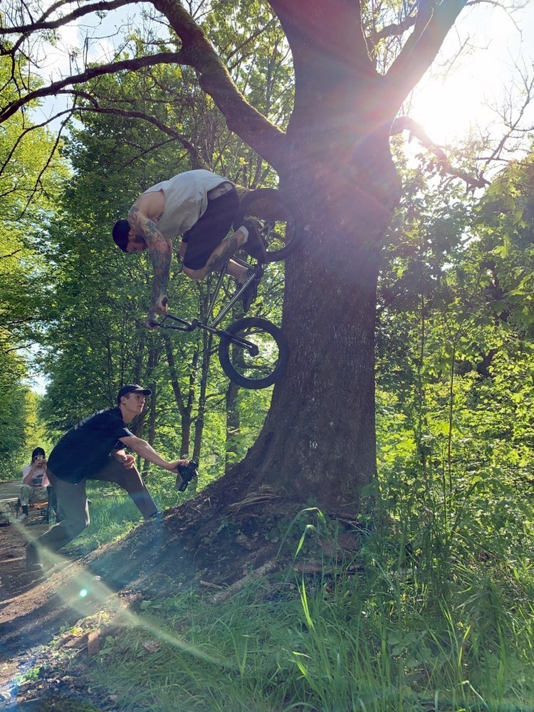 Treeride von Stephan Götz