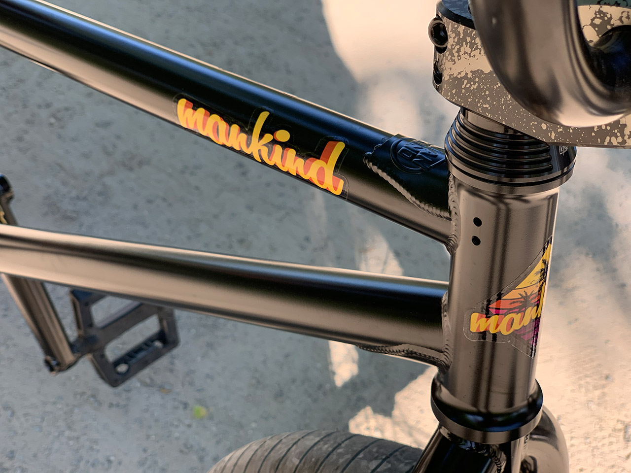 Der Sunchaser ist Daniel Juchatz