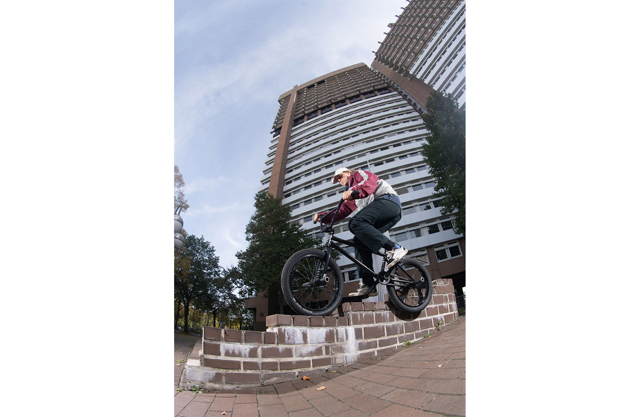 Crusty Feebs in Colonia