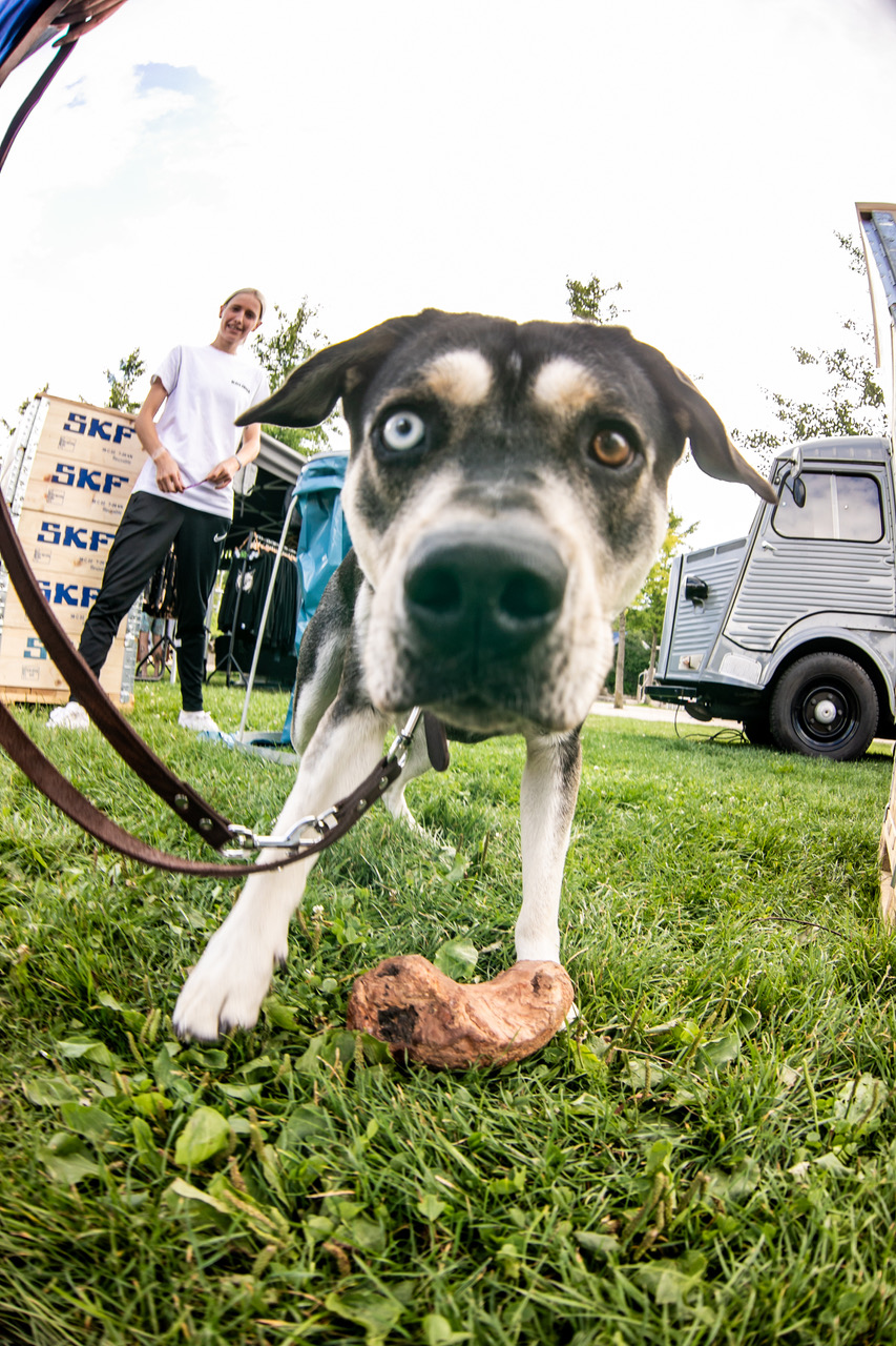 Carina Bunke samt bestem Buddy