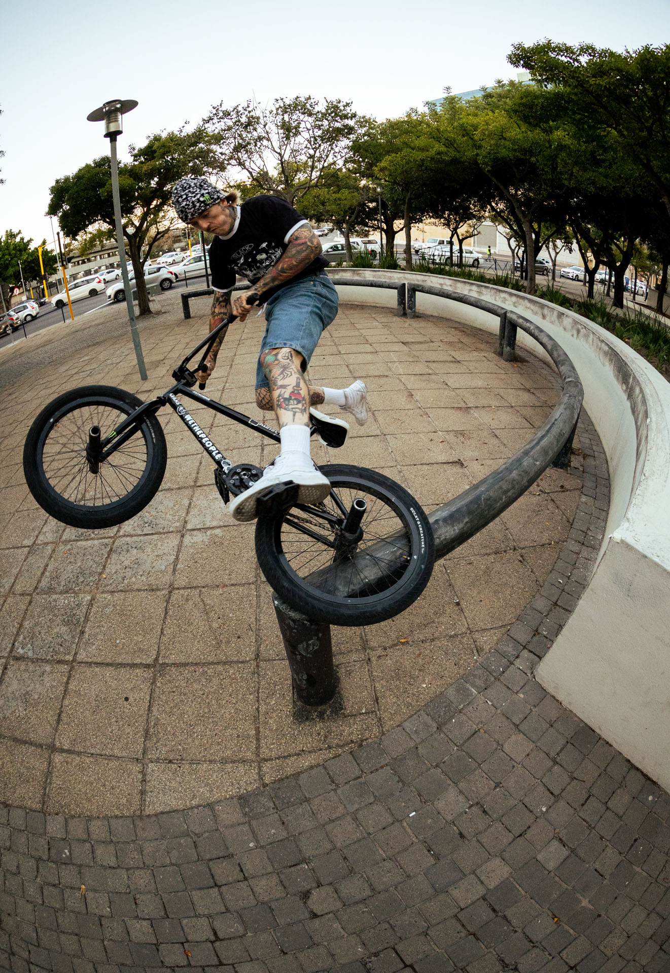 Felix, Fastplant Ice