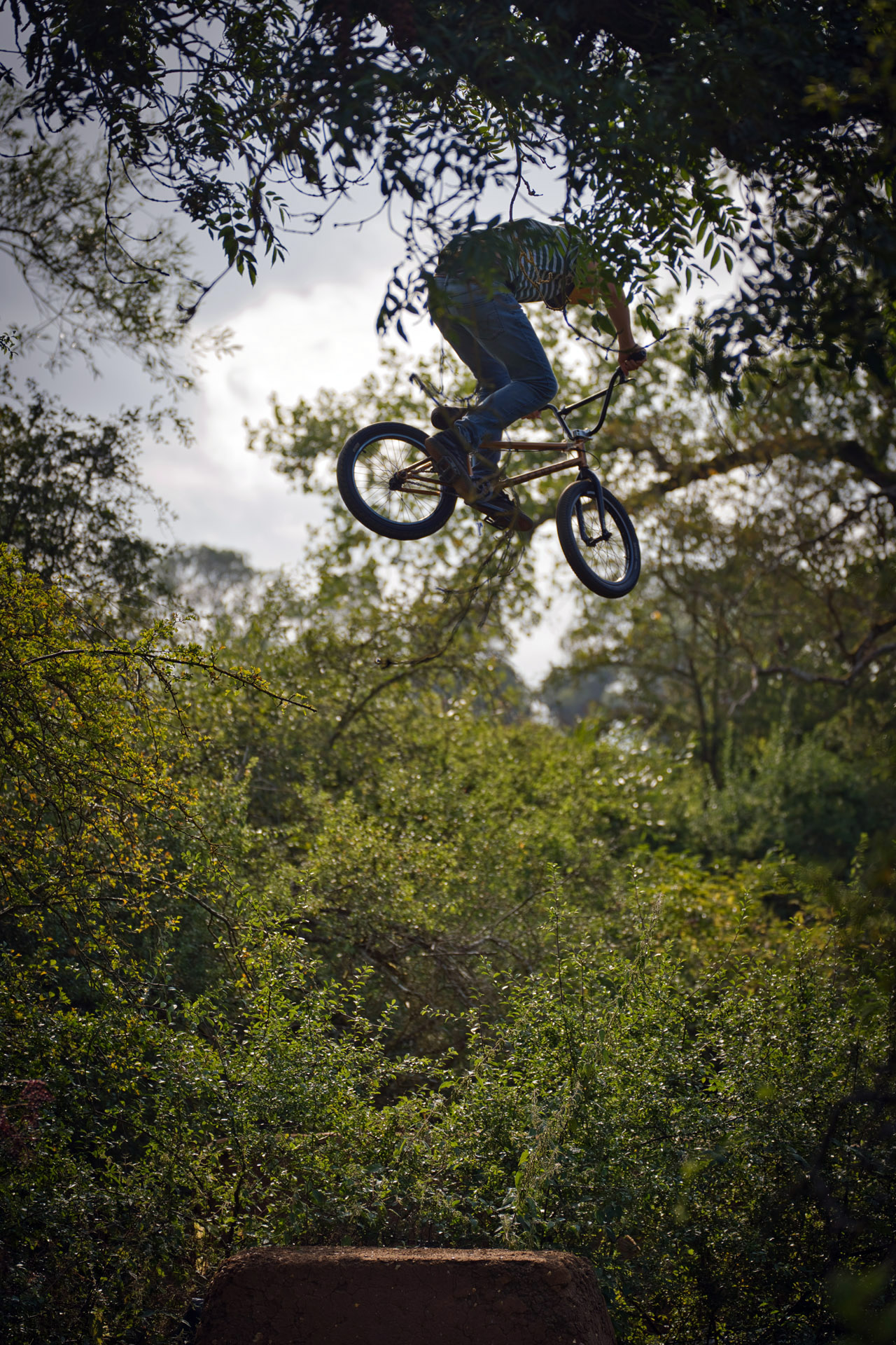 Suchbild: Wo ist die Landung? Erik Meyke in Woodwardle