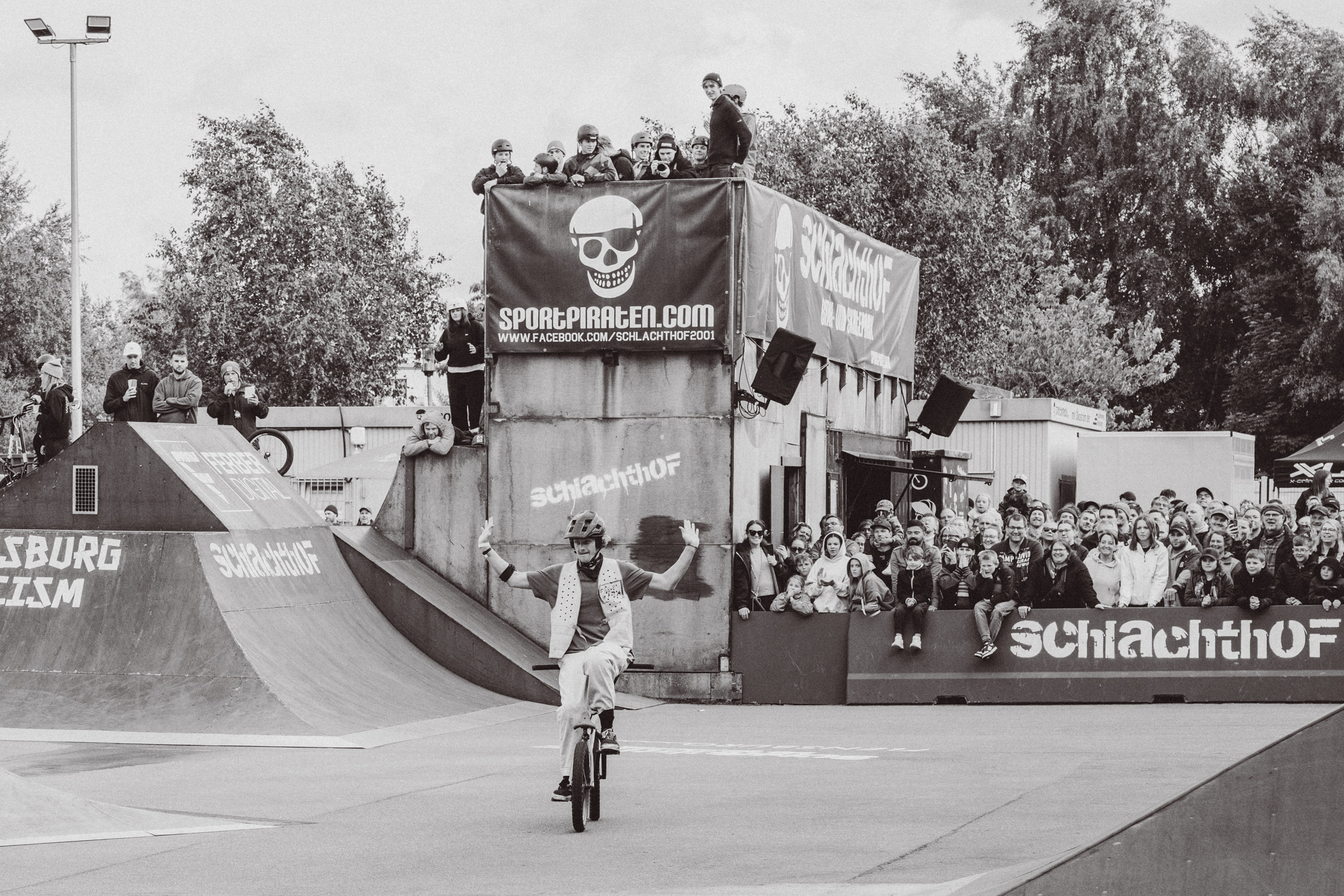 Hat da etwa jemand "Wilke went wild" auf YouTube in die Suche eingegeben?