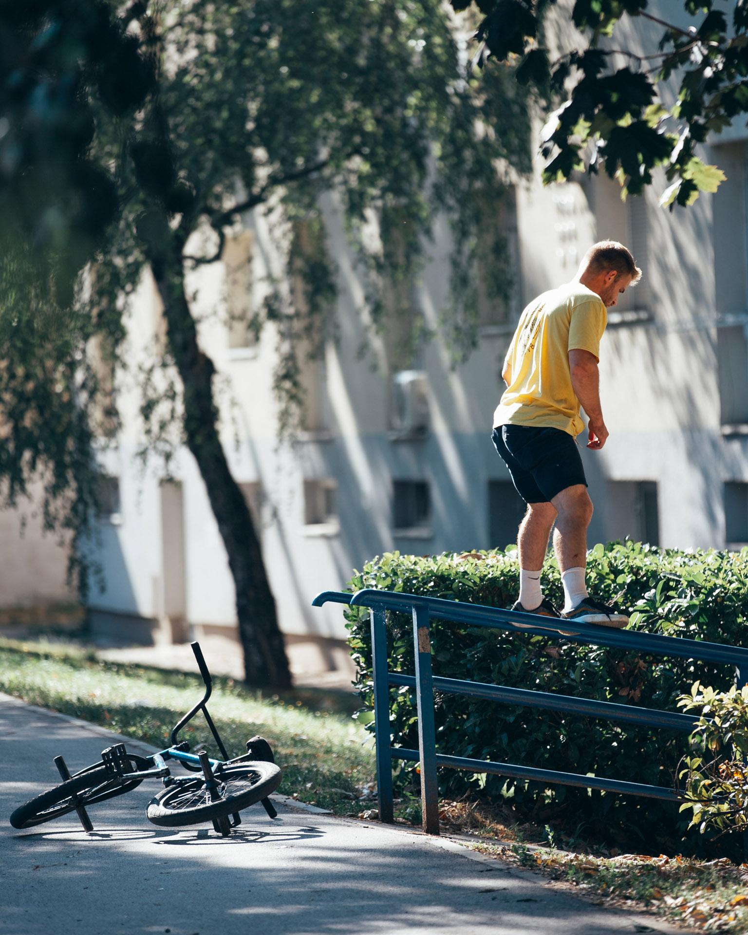 Pro Walk Fran Zeman Style