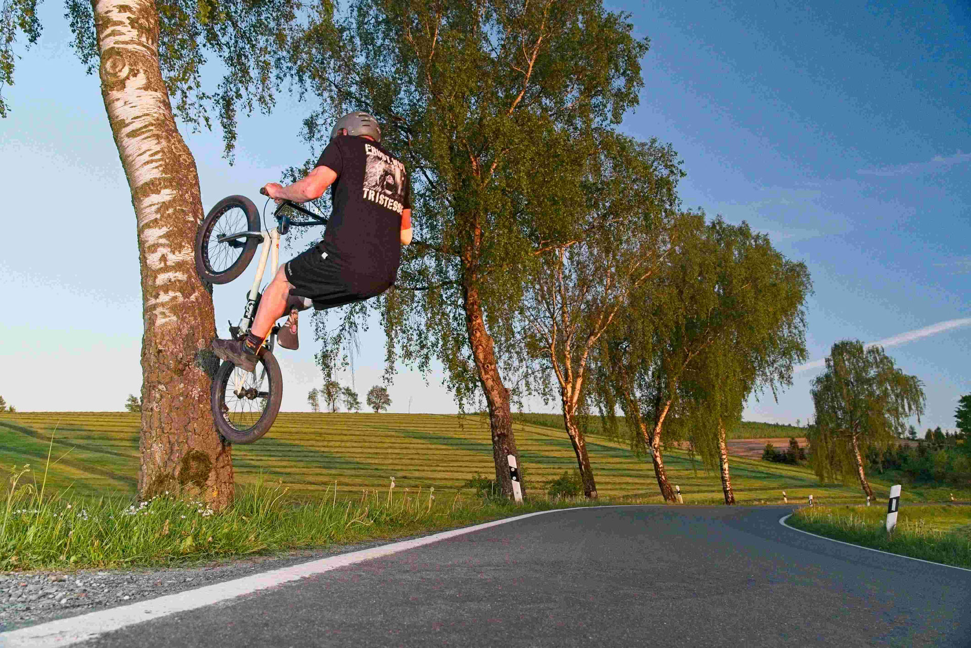 Treerides sind stets ein schönes Motiv