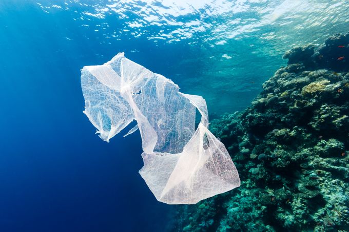 Philippinen Toter Wal Mit 40 Kilo Plastik Im Magen 