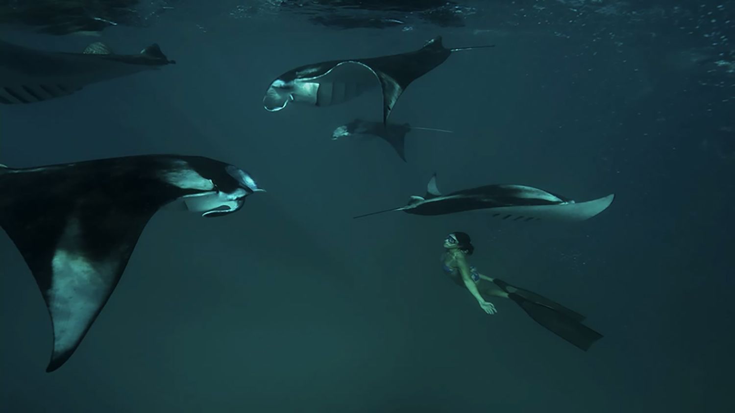 Photo: Jean Marie Ghislain