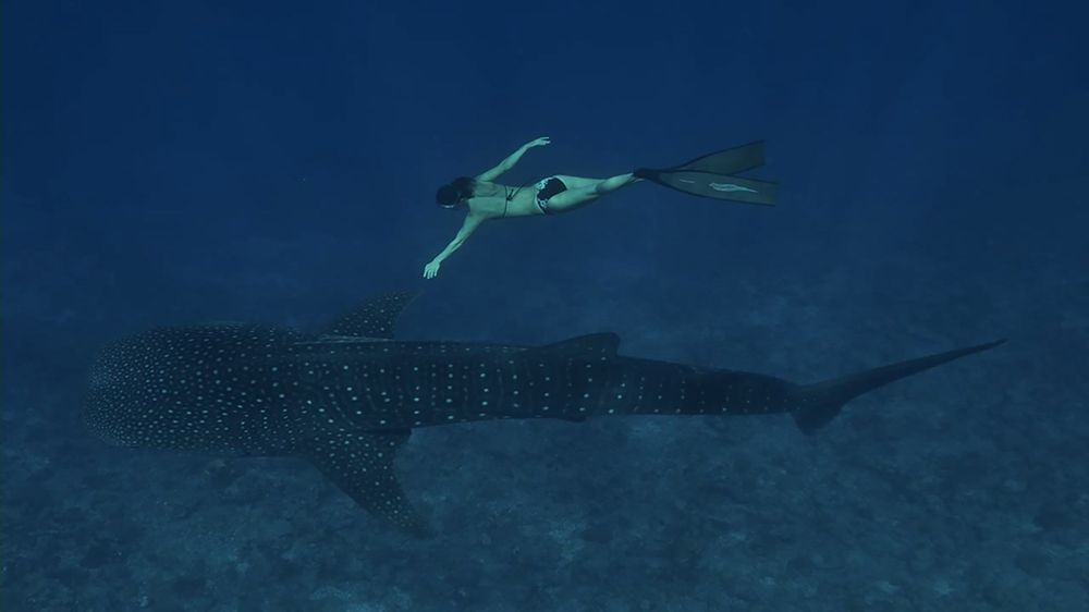 Photo: Jean Marie Ghislain