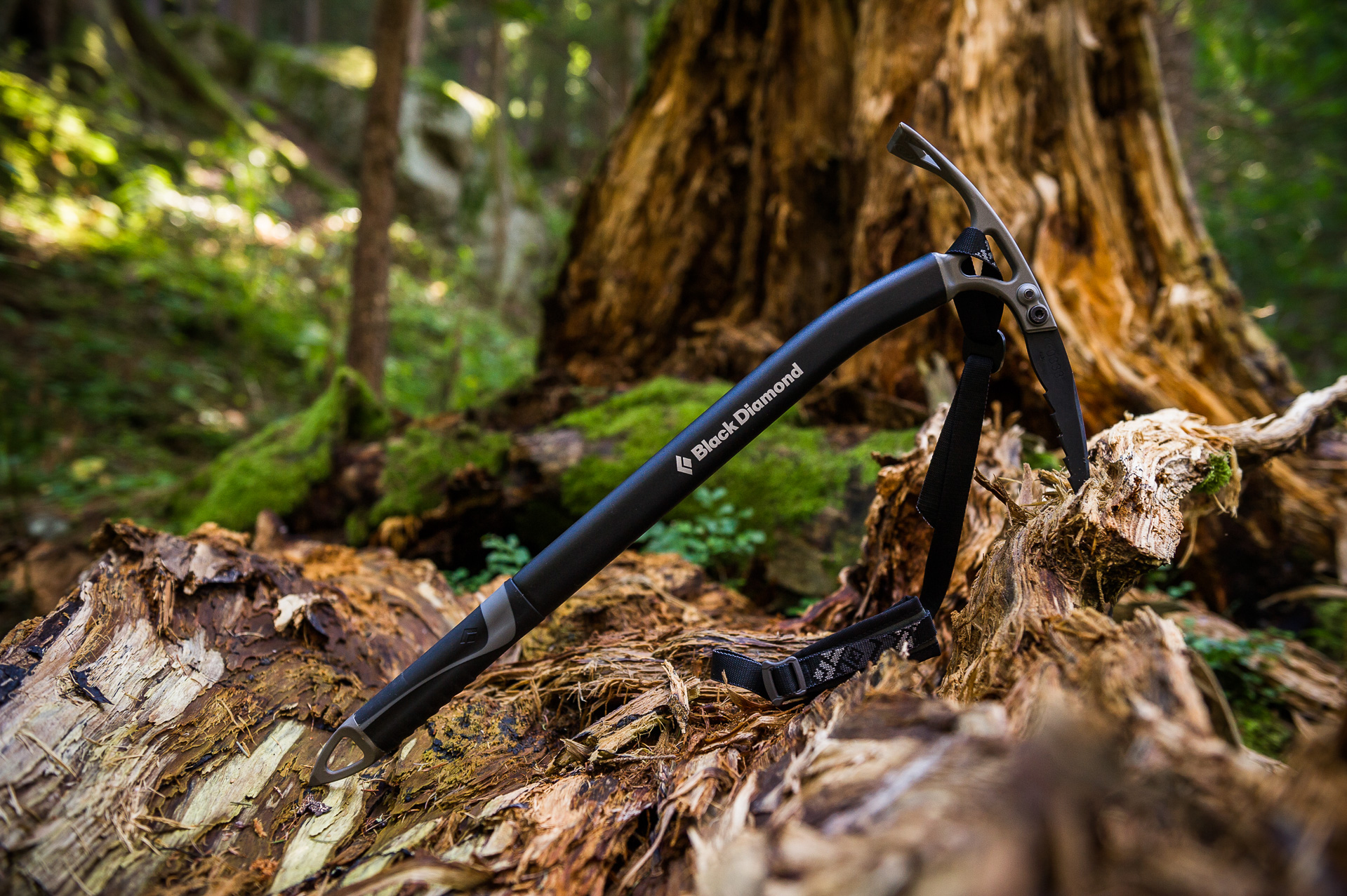 Black Diamond Venom Ice Axe Review Explore Magazin...