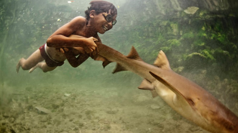 Indigenes Volk der Bajau genetisch für extreme Tauchgänge angepasst