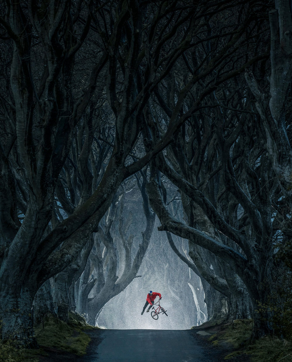 riding-thrones1