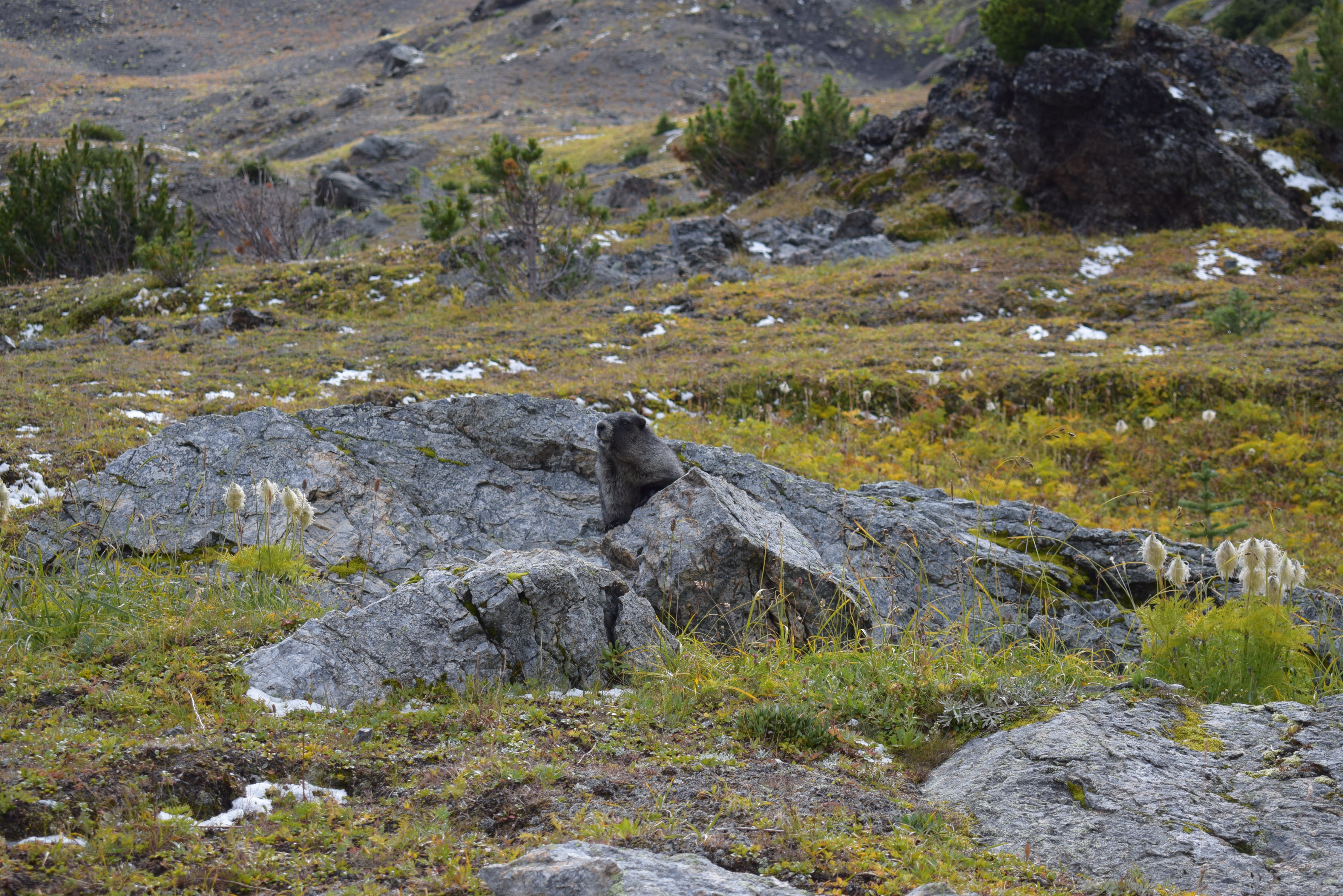 Abenteuertrip durch British Columbia