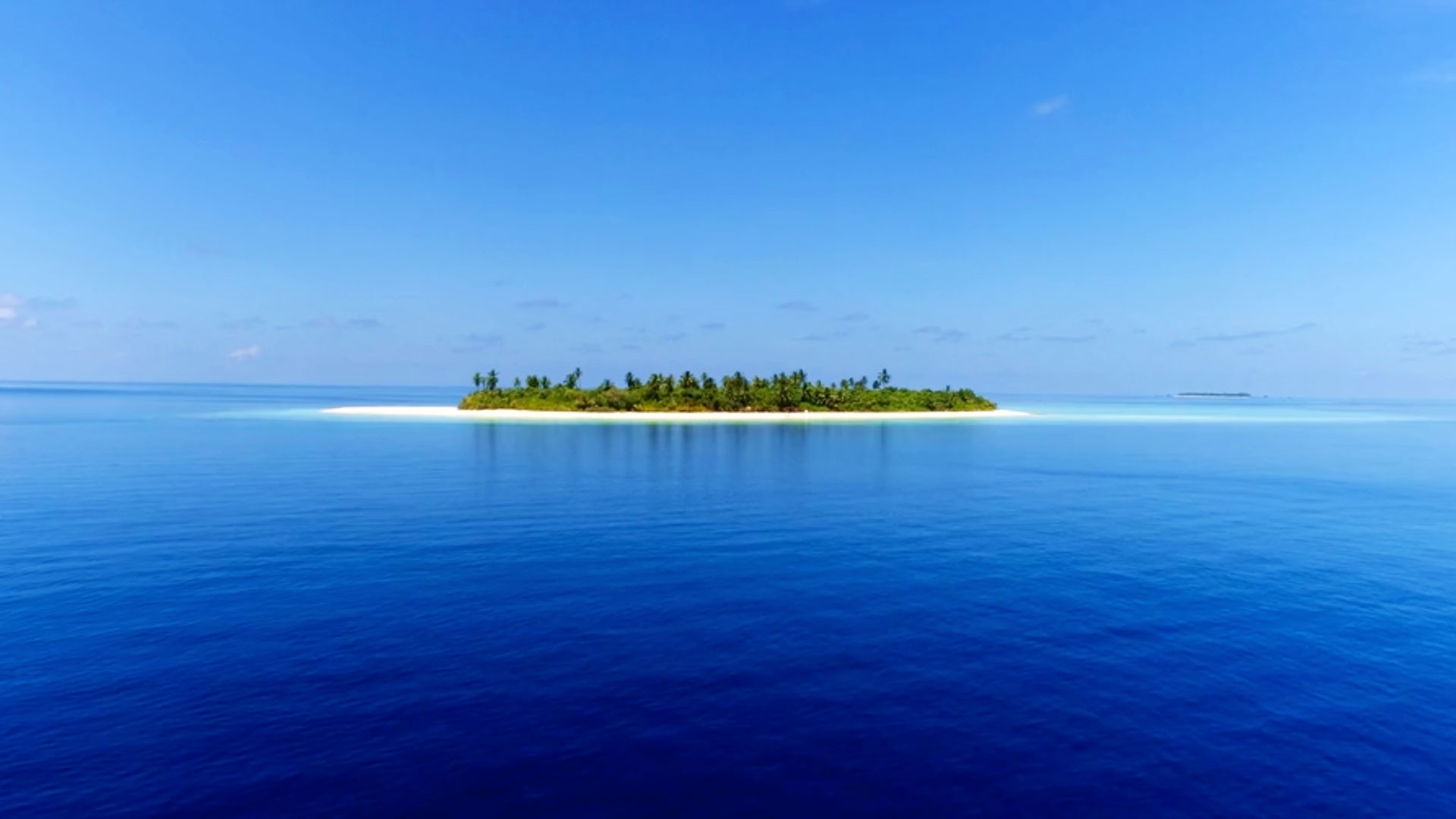 morgan_maassen_travel
