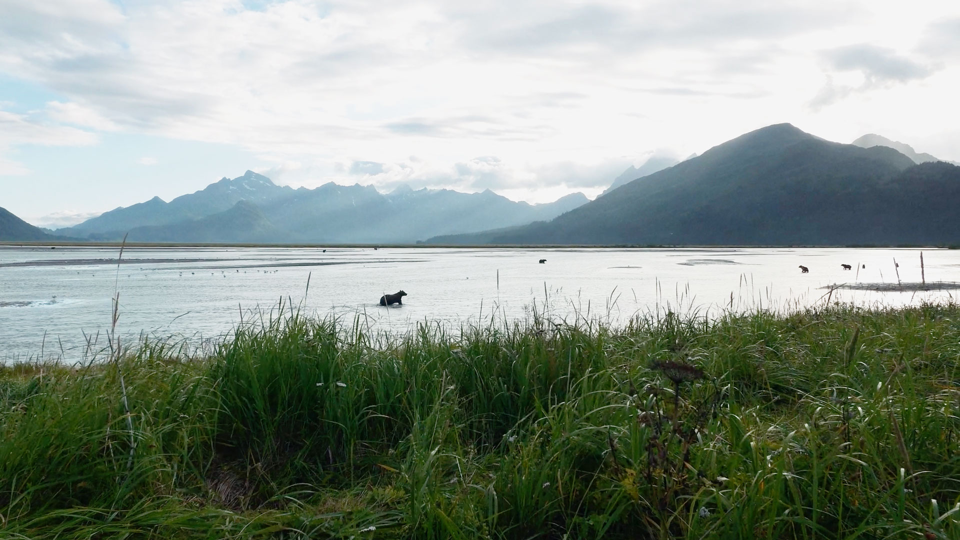 alaska_tim_kellner