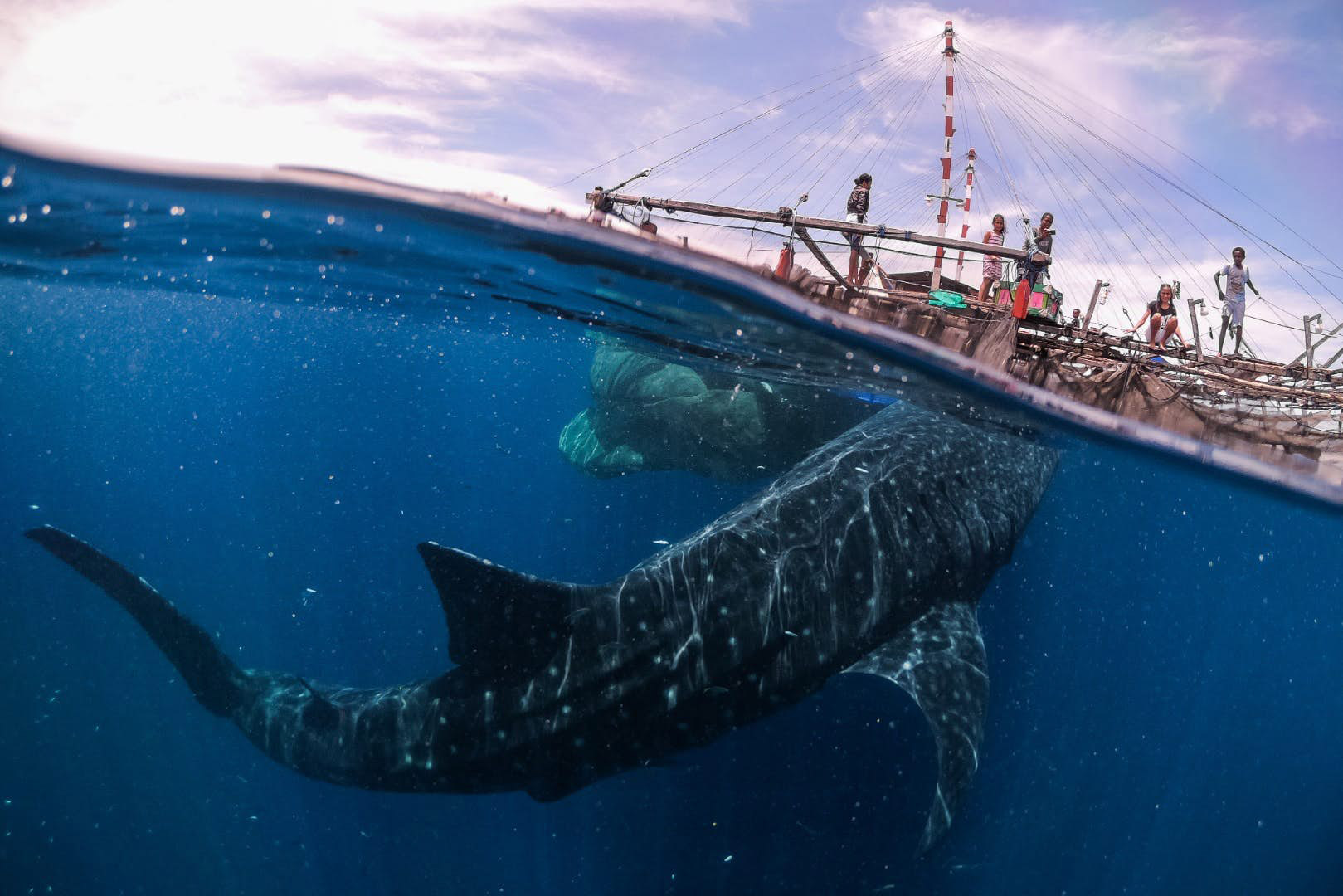 sony-world-photography-awards-feat