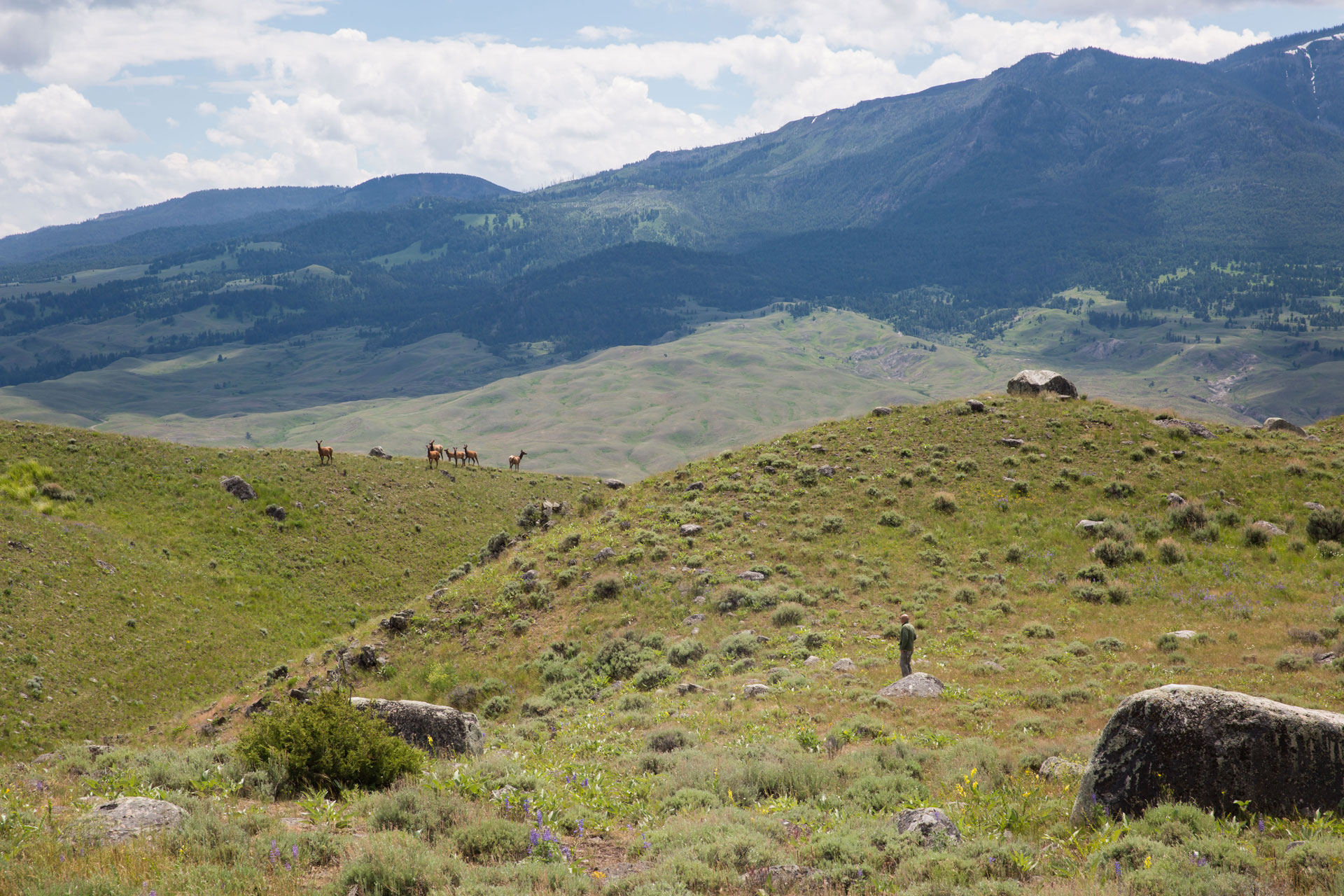 annie_nyborg8 annie_nyborg8