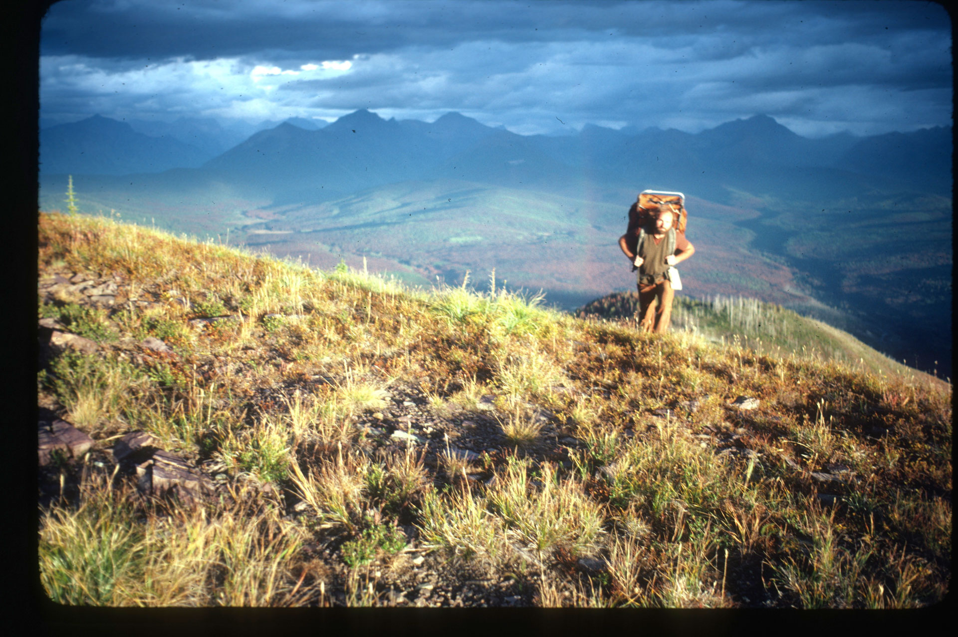doug-peacock-glacier-national-park-6