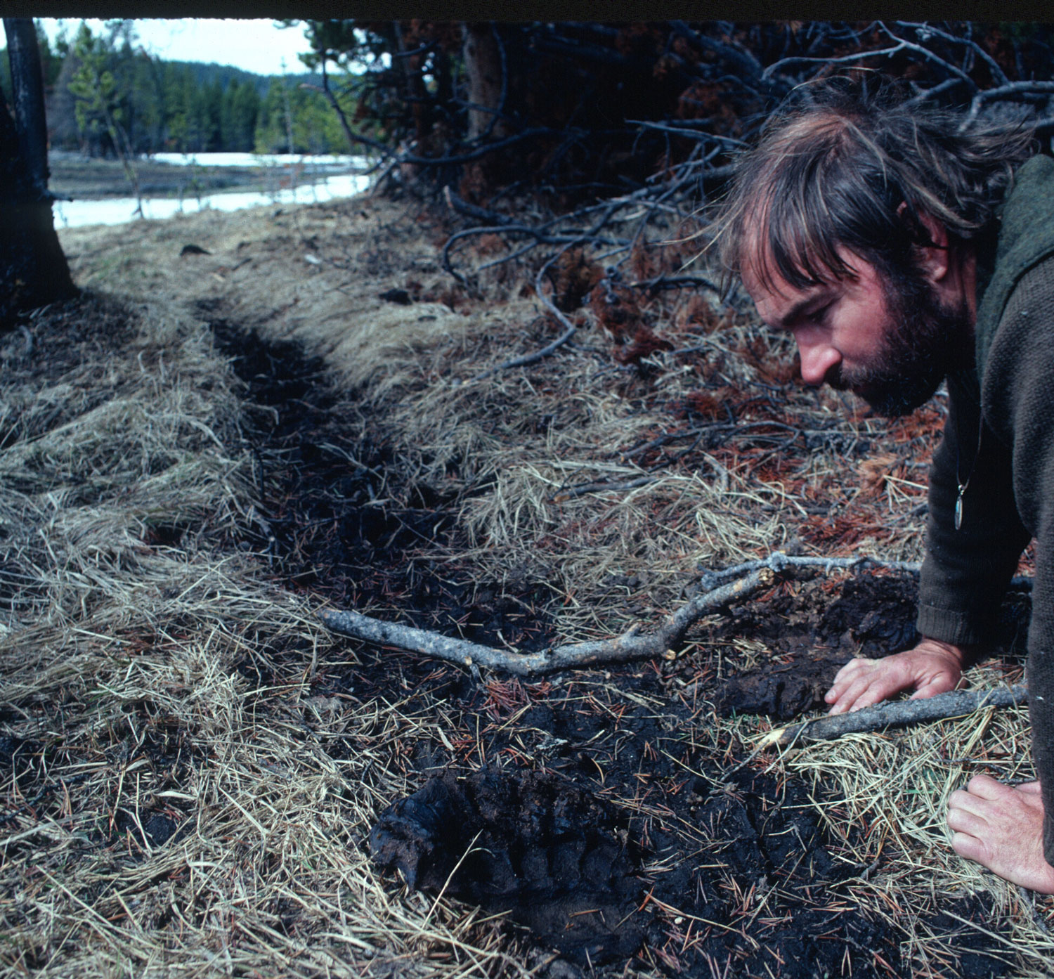 grizzly-country-ben-moon-3 grizzly-country-ben-moon-3